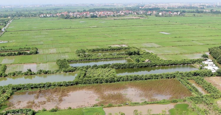 9 trường hợp thu hồi đất có thể không được bồi thường: Người dân cần lưu ý