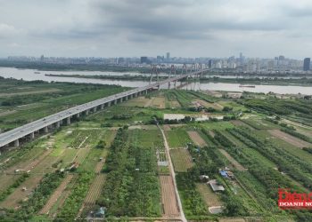 Sửa Luật Đất đai: Gỡ nút thắt thủ tục bằng phân cấp và số hóa