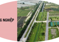 Trung tâm tư vấn pháp luật Minh Sơn trả lời thư của người dân và doanh nghiệp liên quan Luật Xử lý vi phạm hành chính năm 2012 và Luật Đất đai