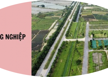 Trung tâm tư vấn pháp luật Minh Sơn trả lời thư của người dân và doanh nghiệp liên quan Luật Xử lý vi phạm hành chính năm 2012 và Luật Đất đai