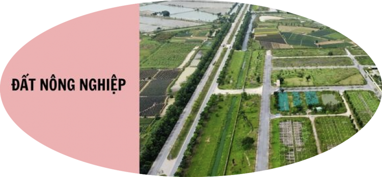 Trung tâm tư vấn pháp luật Minh Sơn trả lời thư của người dân và doanh nghiệp liên quan Luật Xử lý vi phạm hành chính năm 2012 và Luật Đất đai